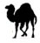 Perl